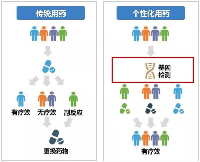 药物基因组配图01