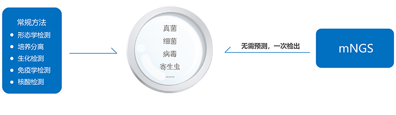 宏基因产品配图05